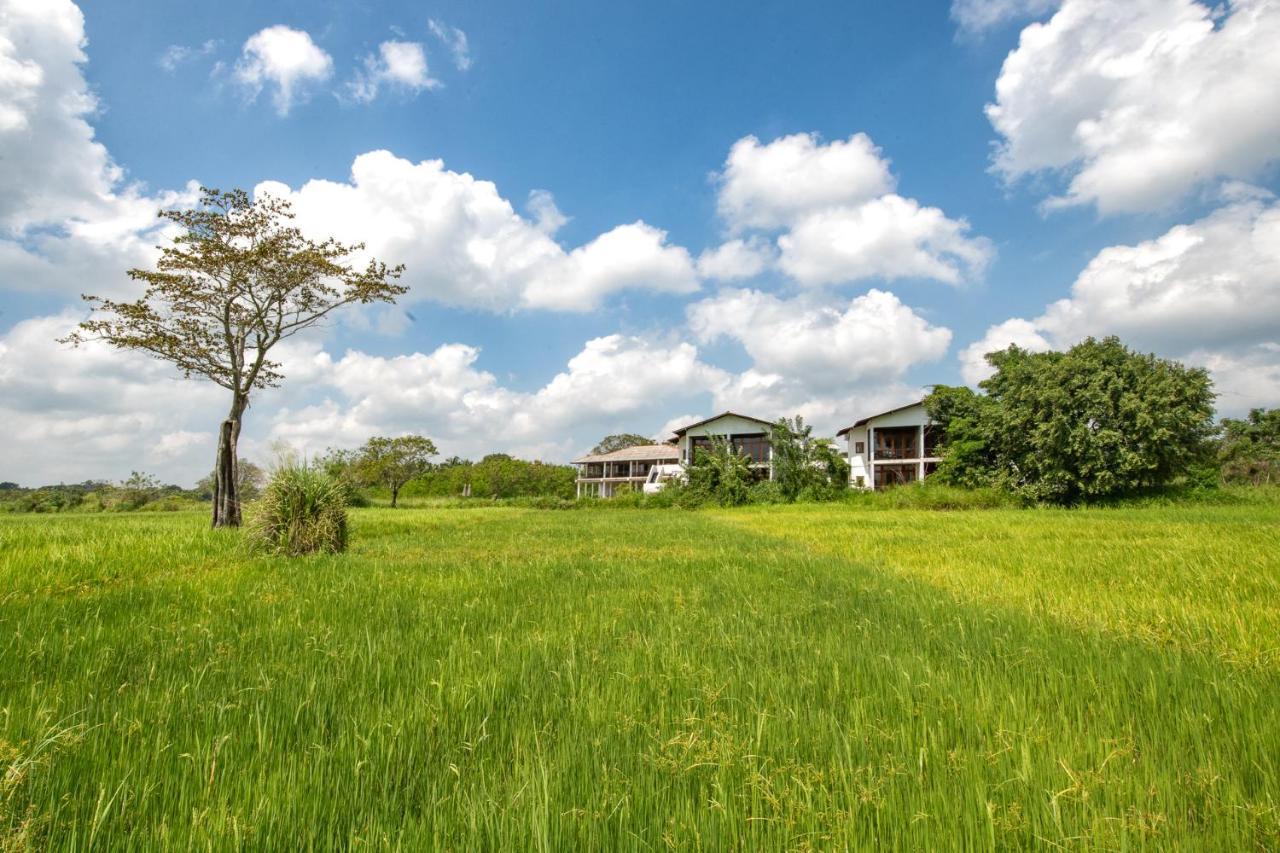 Ceylon Breeze Sigiriya Hotel Екстериор снимка